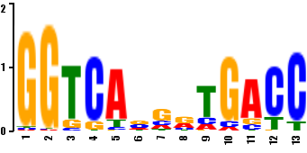 Sequence logo generated from a probability weight matrix